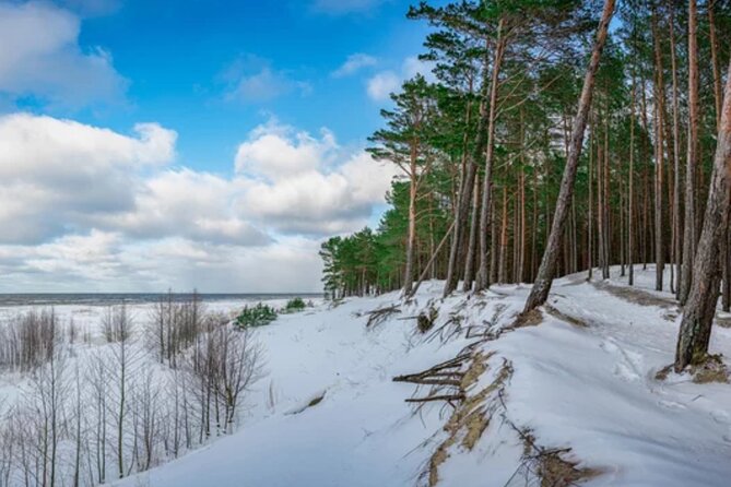 Best of Latvia, Jurmala, Kemeri N Park, Kuldiga City, Food & More - Walking the Great Kemeri Bog Boardwalk