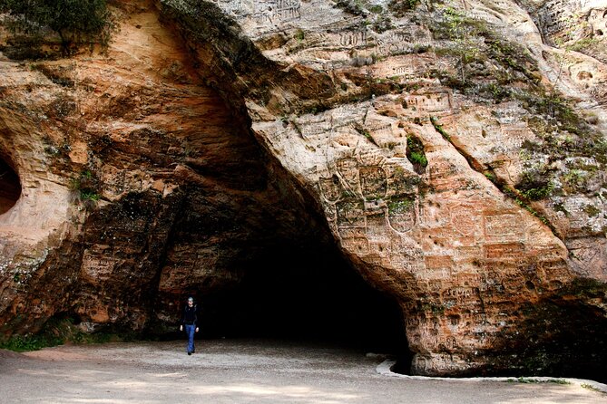 Day trip to Gauja National Park: animals, castles and a cave - What the $178.71 price includes