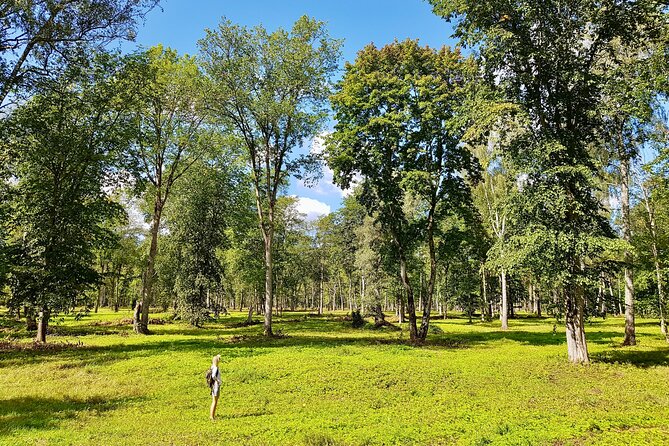 Discover Best Of Gauja National Park In One Day - Hiking through Gauja National Park