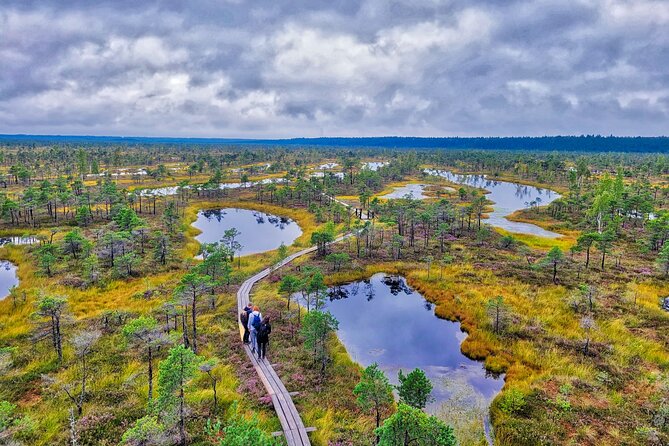 From Riga: Best of Kemeri National Park In One Day - Key points to know before booking