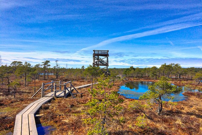 From Riga: Best of Kemeri National Park In One Day - Wet forests, sulfur springs, and Latvia’s natural character