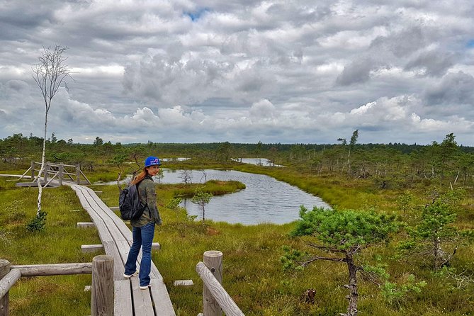 From Riga: Best of Kemeri National Park In One Day - Ragaciems and the Gulf of Riga coast