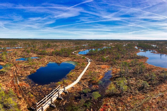 From Riga: Best of Kemeri National Park In One Day - What the small group format changes