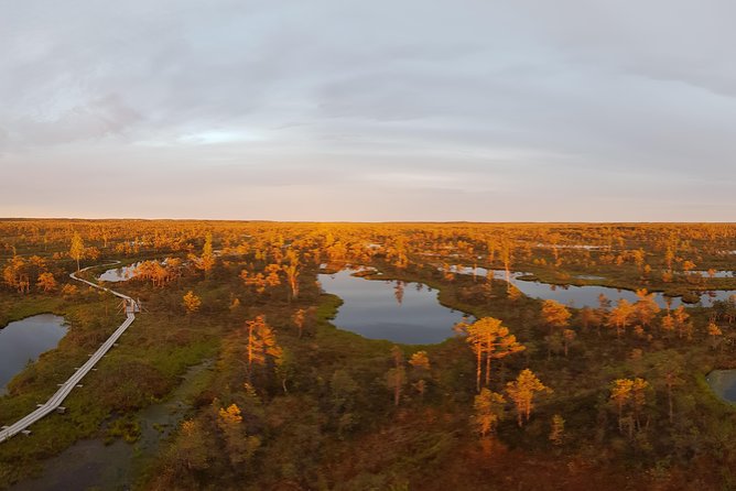 From Riga: Best of Kemeri National Park In One Day - Is $235.33 a fair price?