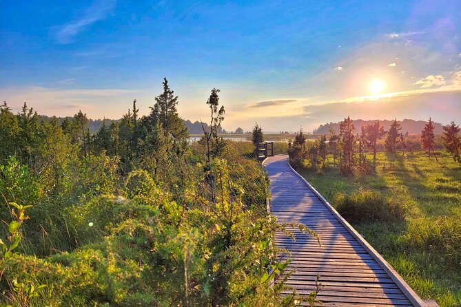 From Riga: Best of Kemeri National Park In One Day - Who should book this day in Ķemeri?