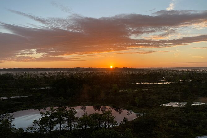 From Riga: Kemeri Bog Boardwalk and Jurmala Seaside - Key points at a glance