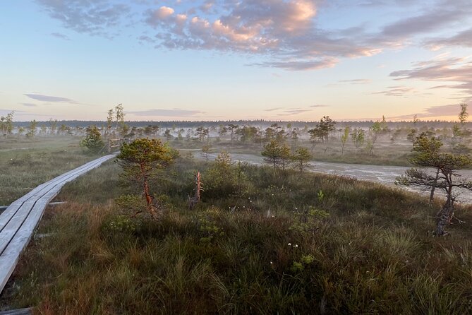 From Riga: Kemeri Bog Boardwalk and Jurmala Seaside - Jūrmala’s wooden cottages and Baltic shore