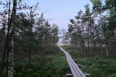 Kemeri Bog Boardwalk and Jurmala Seaside