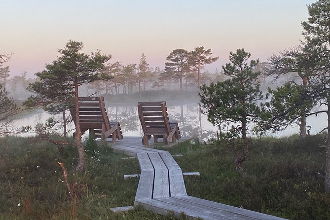 From Riga: Kemeri Bog Boardwalk and Jurmala Seaside - What the guide adds to the experience