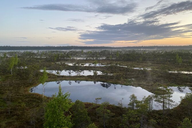 From Riga: Kemeri Bog Boardwalk and Jurmala Seaside - Price, transport, and group size