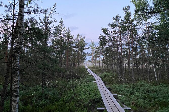 From Riga: Kemeri Bog Boardwalk and Jurmala Seaside - Walking across the Ķemeri Bog Boardwalk