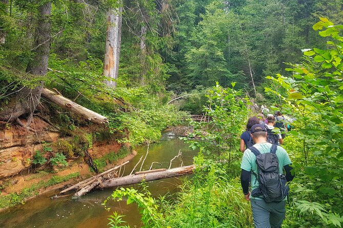 Full Day Gauja National Park Ultimate Hiking & Sightseeing Trip - Key points at a glance