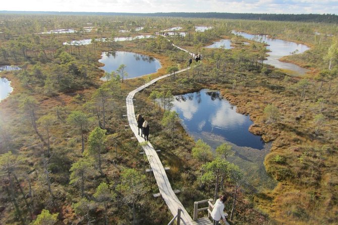Full-Day Private Trip to Jurmala, Fisherman Villages and Nature Trails from Riga - Jomas Street: Jūrmala’s social center