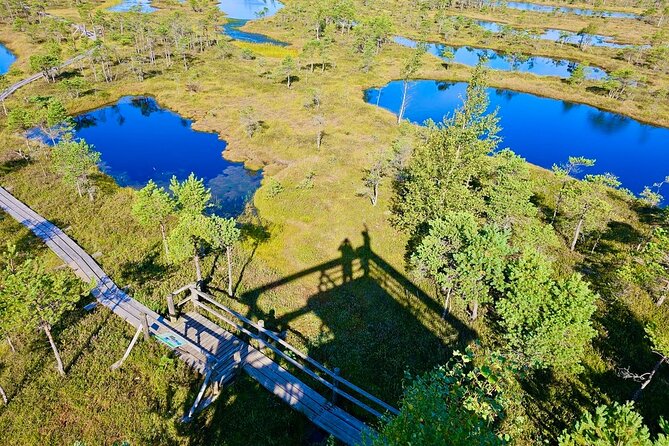 Great Ķemeri Bog and Swamp Forest Hiking Adventure - Why these two walks belong together