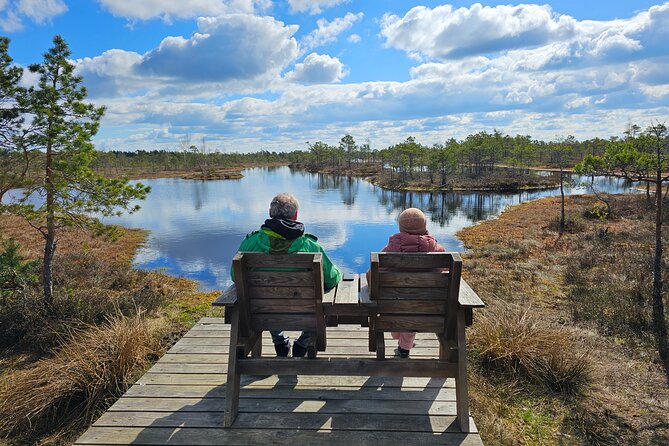 Great Ķemeri Bog and Swamp Forest Hiking Adventure - A guide who connects nature with Latvia