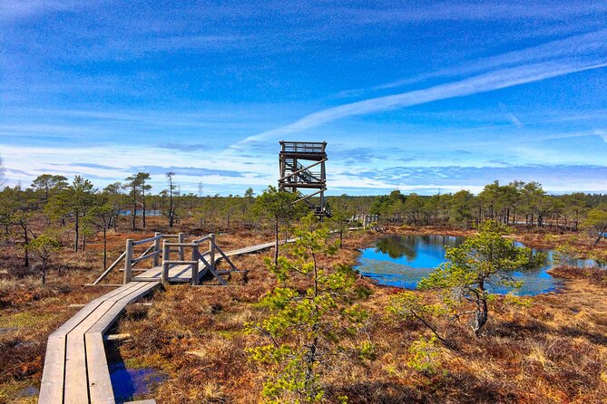Great Ķemeri Bog and Swamp Forest Hiking Adventure - What the $156.21 price really covers