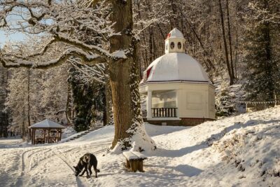 Group Tour: Sigulda and Turaida from Riga.