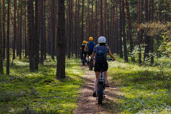 Guided Ebike Tour on Forest Roads and Trails Near Riga - Starting at Bumbu Hill’s firewatch tower