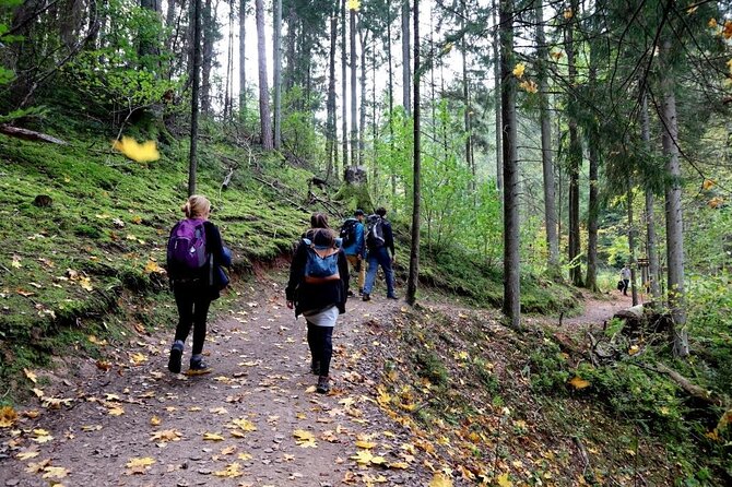 Hike In Gauja National Park - Up And Down The Switzerland Of Latvia - Along The Gauja River And Through The Woods