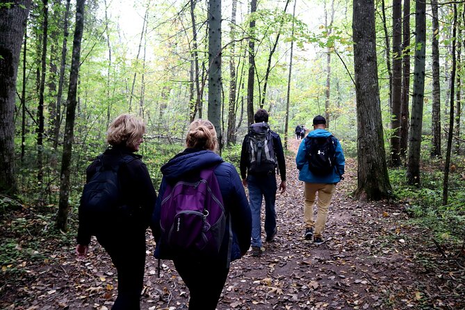 Hike In Gauja National Park - Up And Down The Switzerland Of Latvia - The Guides Shape The Day