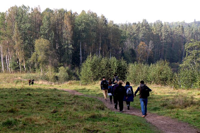 Hike In Gauja National Park - Up And Down The Switzerland Of Latvia - How Hard Is The 15-Kilometer Route?