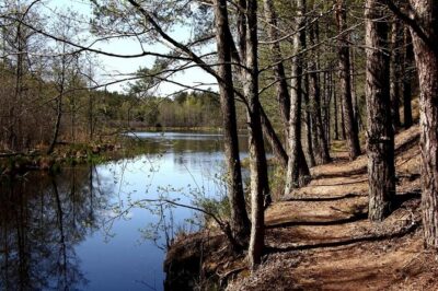 Hiking Adventure in Gauja National Park – 7 Days