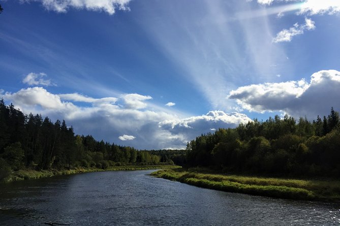 Hiking in Gauja National Park - Pace, Fitness, and What the Trail Feels Like