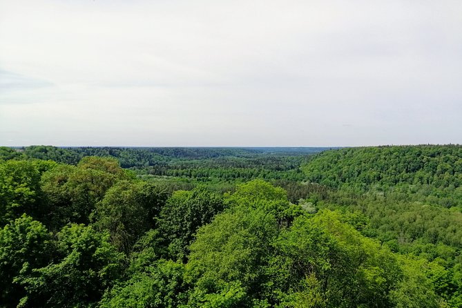 Hiking in Gauja National Park - Private Transport and Six Hours From Riga