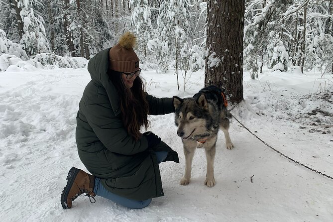 Husky dog sled/bike kart ride in Latvia ~ 3h group tour from Riga - Dressing for minus 17 degrees