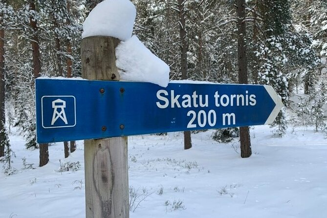 Husky dog sled/bike kart ride in Latvia ~ 3h group tour from Riga - Safety instructions and the 3-kilometer forest route
