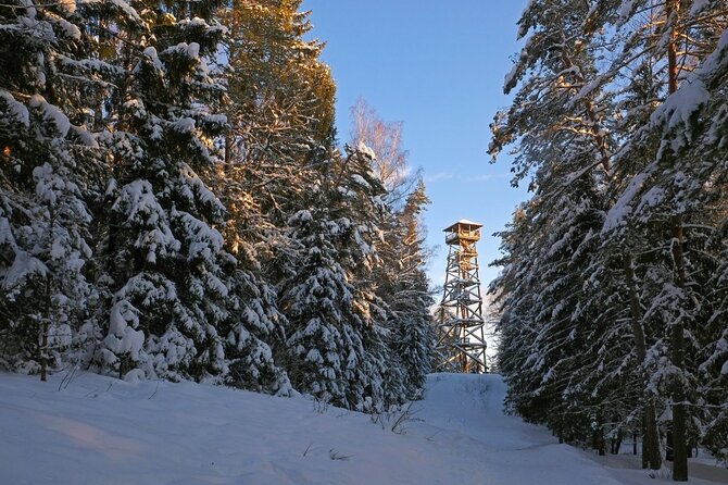 Husky Dog Sledding Tour From Riga - Who will enjoy this Riga winter experience?