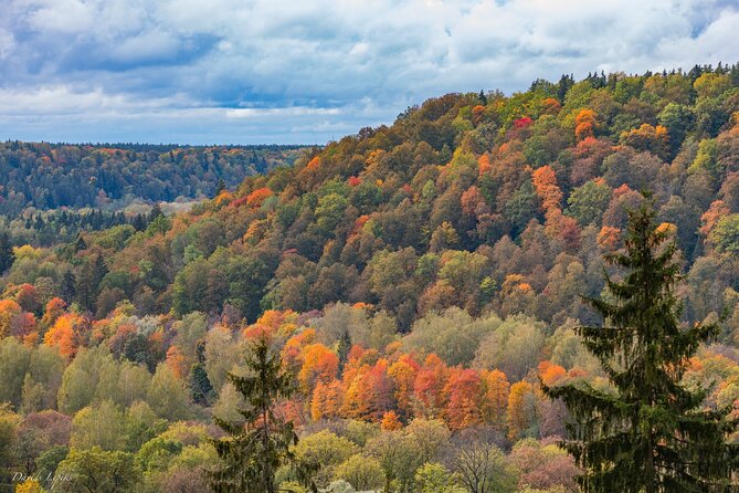 Latvia's Switzerland and Gauja National Park Tour - Key points to know before booking