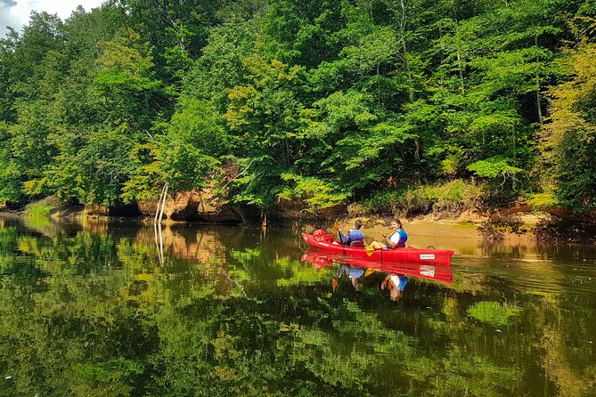 One-Day Kayaking Trip in Gauja River Valley - What the river day can feel like