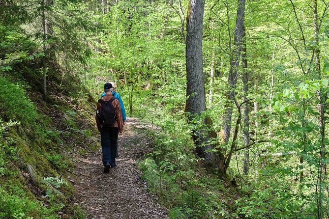 Private Full-Day Hiking Tour in Sigulda and Gauja National Park - Key points to know before booking