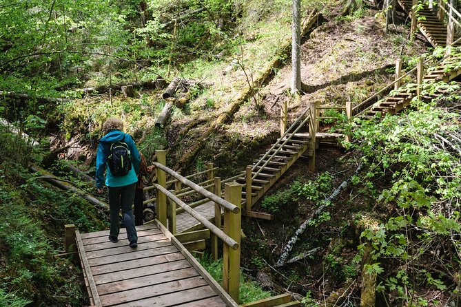 Private Full-Day Hiking Tour in Sigulda and Gauja National Park - Walking through the Krimulda estate