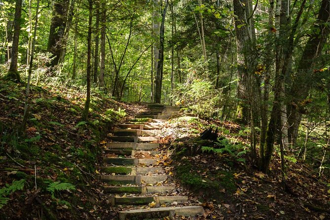 Private Full-Day Hiking Tour in Sigulda and Gauja National Park - The best part is the Gauja National Park walk