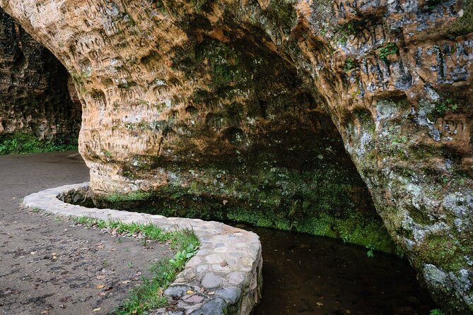 Private Full-Day Hiking Tour in Sigulda and Gauja National Park - A picnic break, not a restaurant lunch