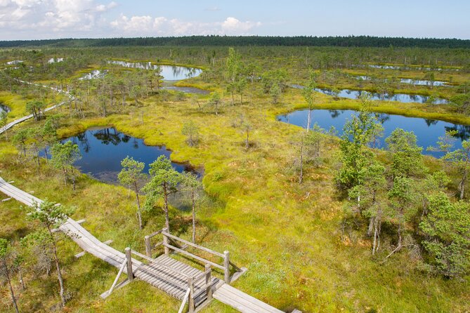 Private Full-Day Trip to Jurmala and Great Kemeri Bog Boardwalk - Jurmala beaches, streets, and resort character