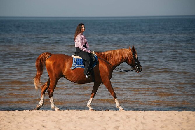 Private Horse Riding on the Beach in Riga - Key points at a glance