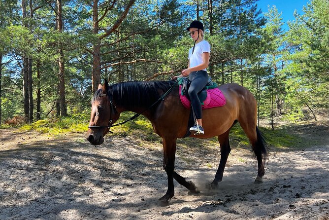 Private Horse Riding on the Beach in Riga - Horses and staff make or break the experience