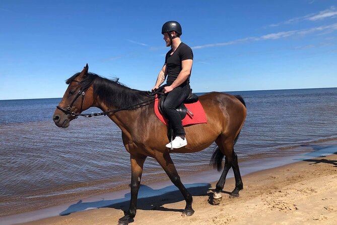 Private Horse Riding on the Beach in Riga - Is $150.63 per person fair?