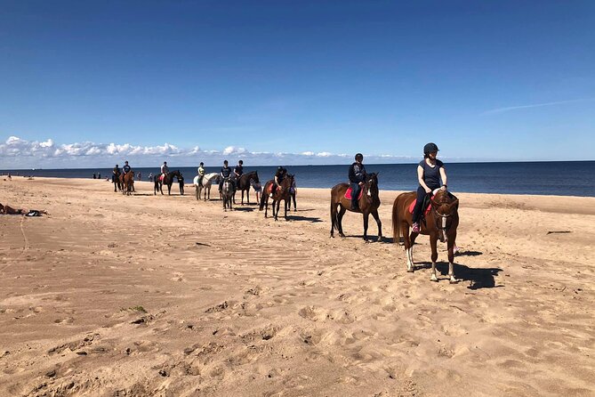 Private Horse Riding on the Beach in Riga - The hotel pickup keeps the outing simple