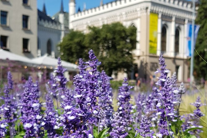 Riga Sightseeing Tour for First Time Visitors - Who Will Enjoy This Riga Introduction?