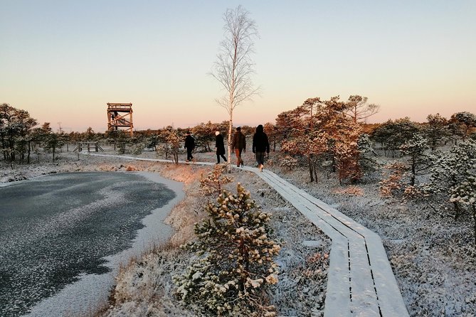 Sunrise at Kemeri National park + Jurmala - Why the early start is worth considering