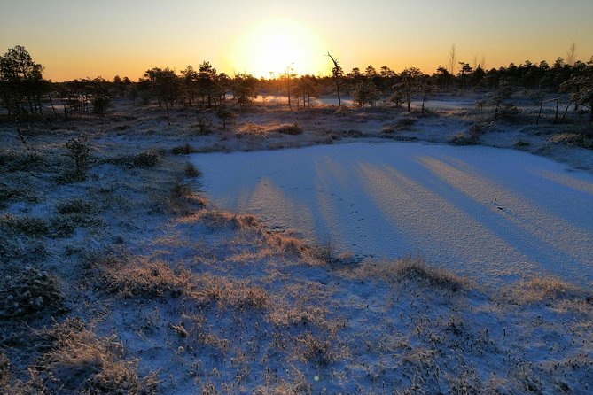 Sunrise at Kemeri National park + Jurmala - A Baltic Sea swim in summer