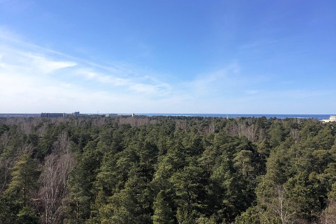 Sunrise at Kemeri National park + Jurmala - Food, transport, and the real value of $131.81