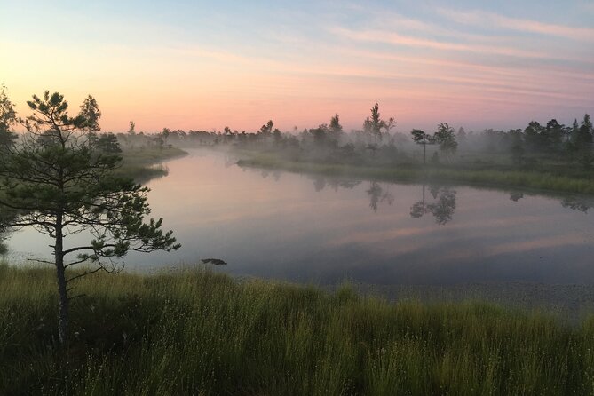 Sunrise at Kemeri National Park - Small Group - The Drive from Riga to Kemeri