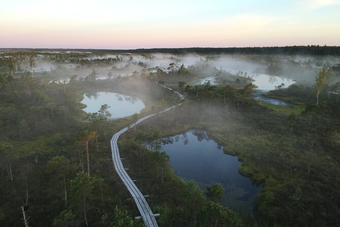 Sunrise at Kemeri National Park - Small Group - Walking the Great Kemeri Bog Boardwalk