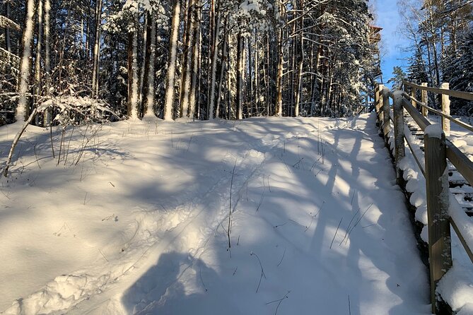 Ultimate Husky dog sledding experience in Latvia - Private tour from Riga - The guides make a real difference